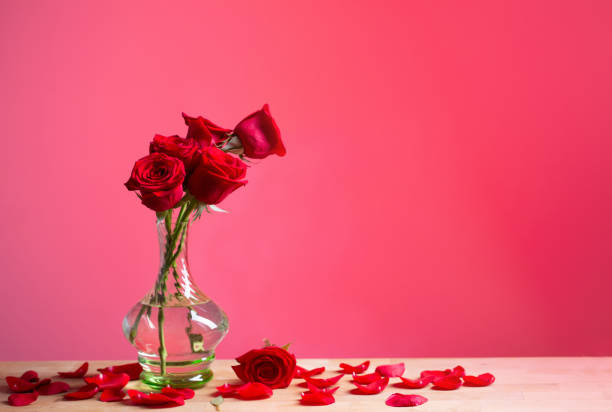 Vintage Red Roses on an old wood background