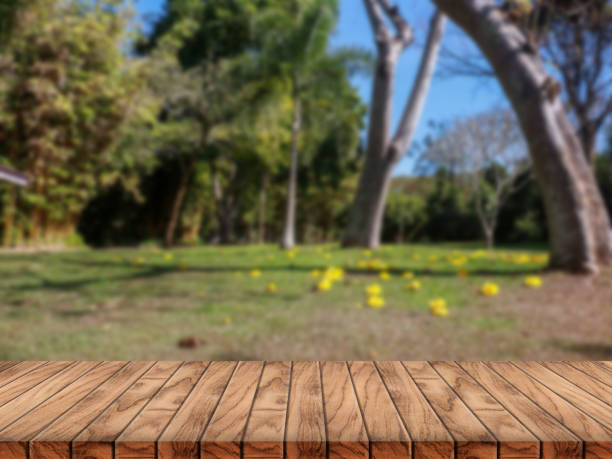 istock wooden table top on blurred park background. 1454956244