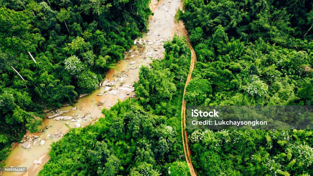 ufravigelige Stillehavsøer At øge Top View Of A Stream In The Forest At Thailand Stock Photo - Download Image  Now - Above, Aerial View, Beauty - iStock