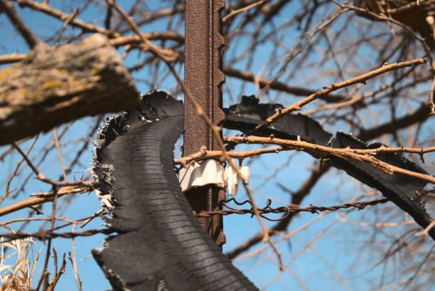 A tire hangs caught in a rusty barbwire fence against a blue sky.
