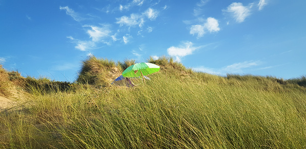 A closeup shot of grass on a hill and two umbrellas under a clear sky