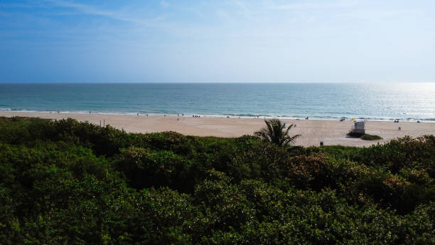 istock Mesmerizing view of an ocean with green trees in the foreground 1454960957
