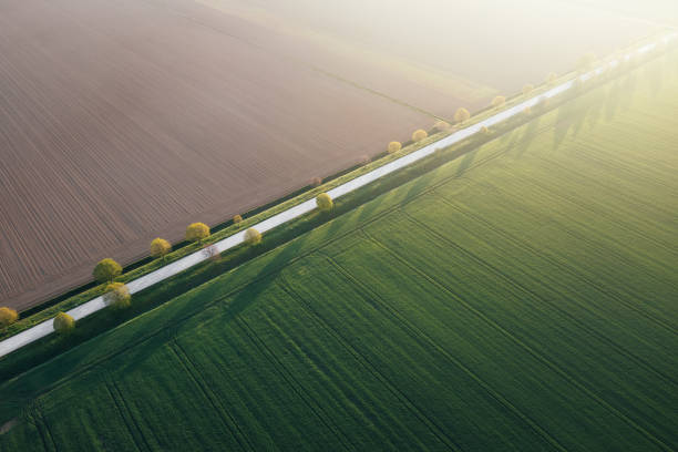 istock Aerial View On Tree-lined Country Road 1454962435