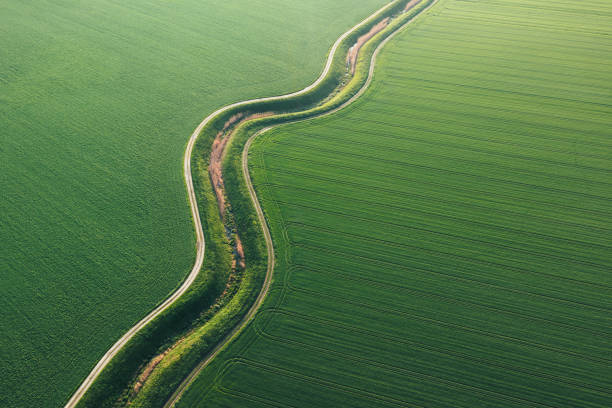 istock Aerial View On Green Wheat Field 1454962468