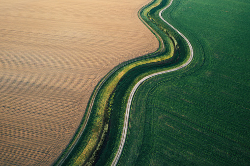 Empty trails winds through the rural area of wheat and plowed fields. Aerial view.