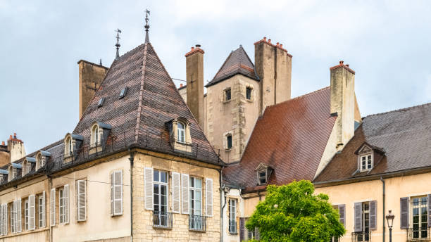 dijon, hermosa ciudad en borgoña - duke of burgundy fotografías e imágenes de stock