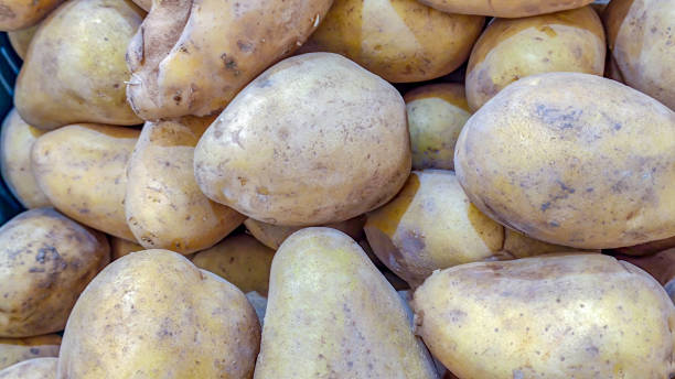 istock Group of potatoes in supermarket 1454963946