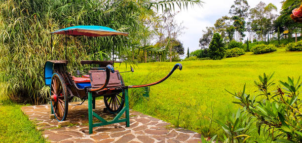 istock Horse-drawn carriage in the garden 1454964676