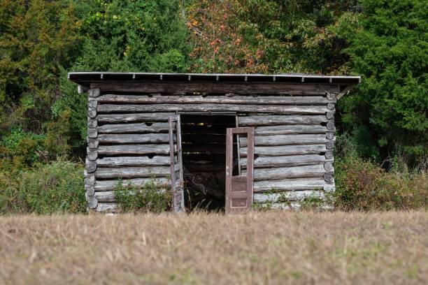 istock Wooden cottage in the nature 1454965365