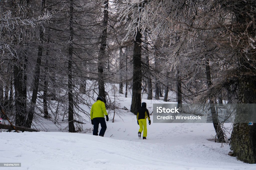 Taking a stroll through the snow Having fun in the snow Color Image Stock Photo