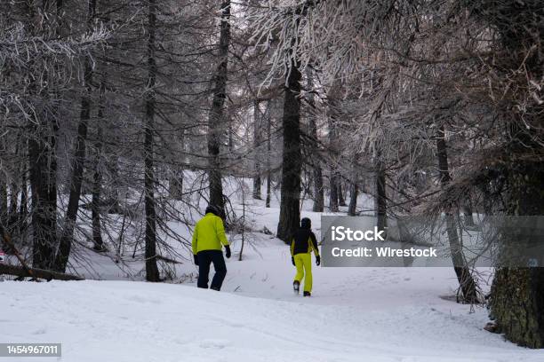 Taking A Stroll Through The Snow Stock Photo - Download Image Now - Color Image, Fun, Horizontal