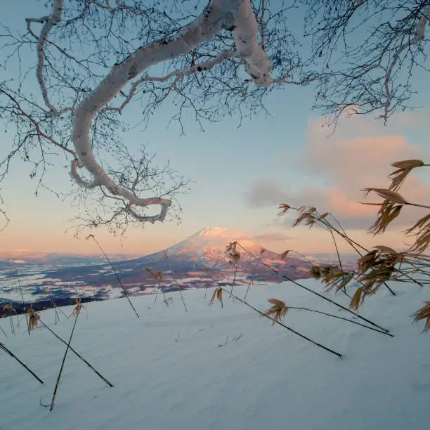 A scenic view of Mount Yotei, Niseko, Japan in winter