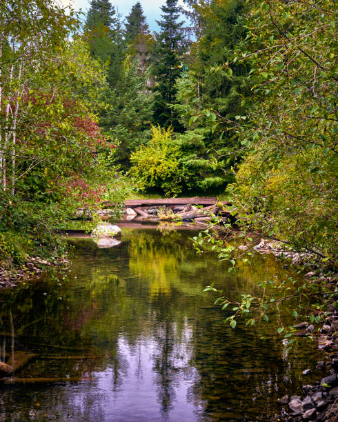 istock Beautiful fall day, vibrant trees, reflection in the pond water. 1454969903