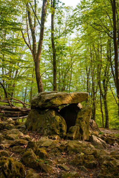 istock Vertical shot of rock construction in forest 1454970929