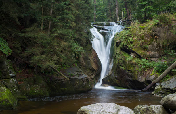 istock Scenic view of waterfall in forest 1454971693