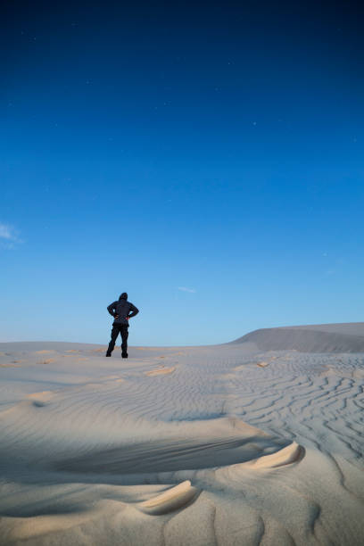 istock Vertical shot of man standing in dunes 1454971732
