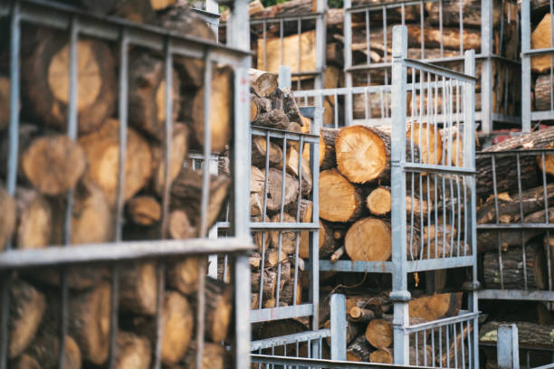 istock Beautiful shot of logs on a gridded shelves 1454971837