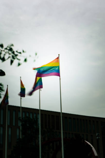 istock Vertical shot of LGBT flag 1454972207