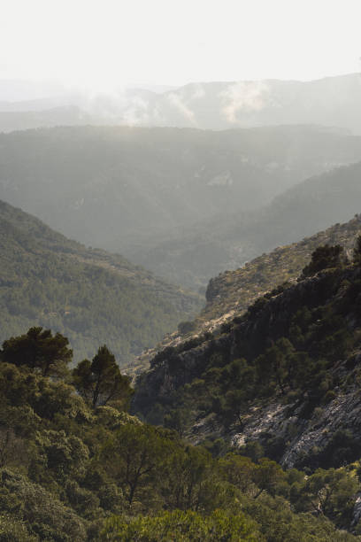 istock Vertical shot of mountains 1454974578