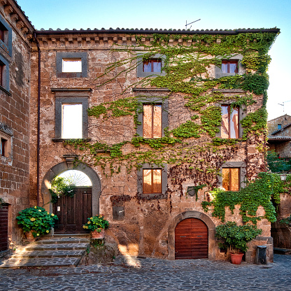 A decaying stone building with vines covering the walls in Civita di Bagnoregio, Italy