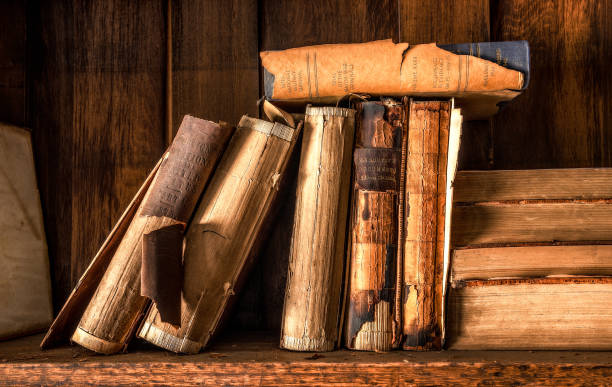 istock Abandoned books in the Cossitt Library in Memphis, Tennessee 1454974689