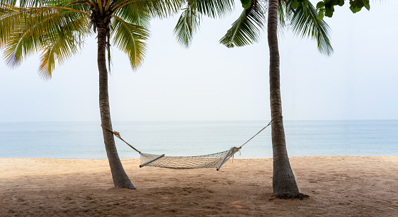 Hammock Rest Relax between two coconut trees on a tropical island with beautiful beach at sunset
