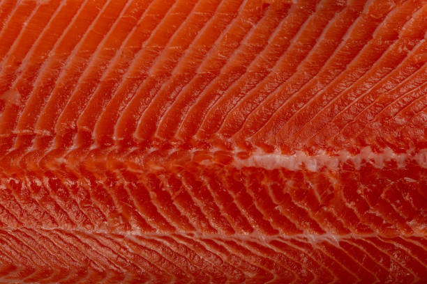 istock Fillet of red fish 1454984785