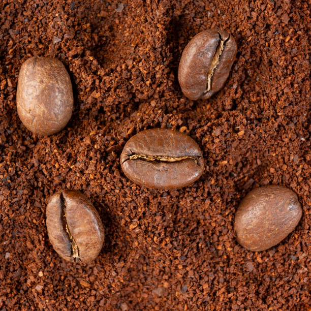 istock Three coffee beans lie on ground coffee close-up. 1454986748