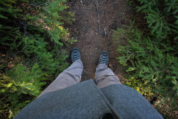 istock POV, hiking in the woods. 1454988067