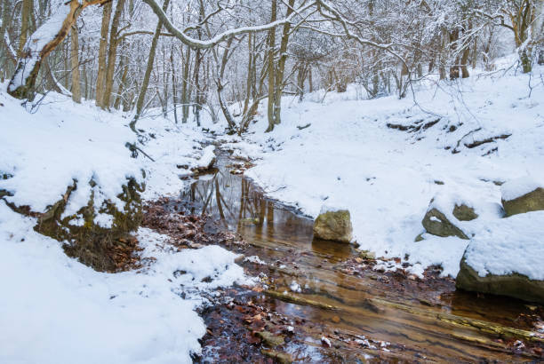 istock small brook flow through the snowbound mountain canyon 1454988163