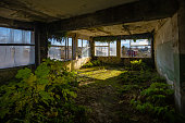Overgrown by plants old abandoned building interior
