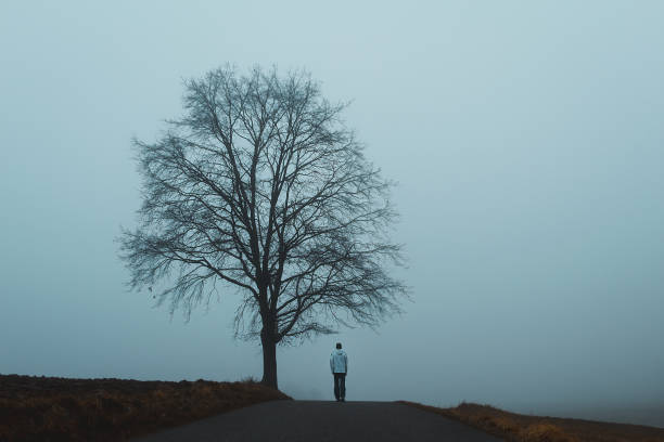 jeune homme marchant sur la route avec un arbre et un brouillard mélancolique. paysage matinal tchèque - lone tree photos et images de collection