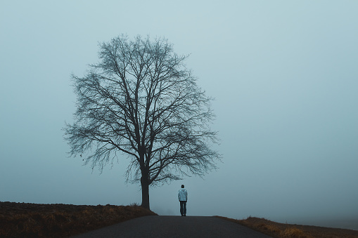 Young man walking on road with tree and melancholy fog. Czech morning landscape