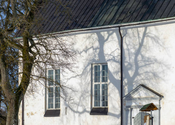 white wall with windows, shadow play from trees on the wall, sunny winter day