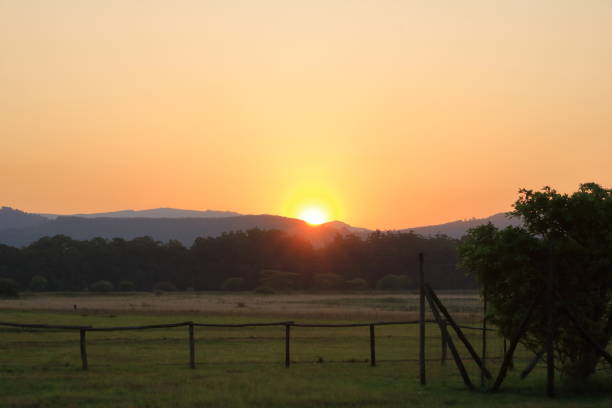istock Sunset over the Mlilwane Nature Reserve, Swaziland, Eswatini 1454993470