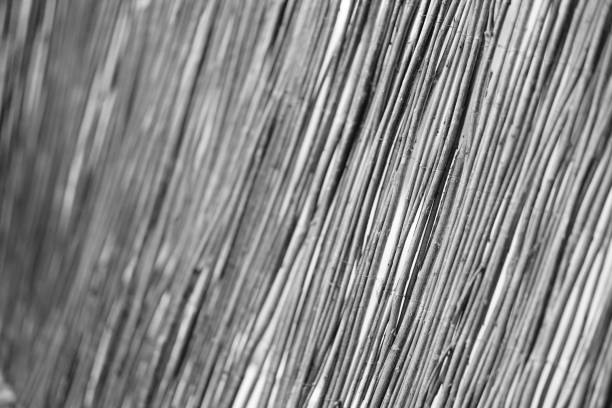 A closeup of stripes texture background