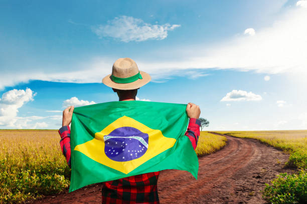 Handsome Black Farmer Holding Brazil Flag on Cinematic Farmer Field Background. Male Farmer with Hat at Harvest on Sunset.