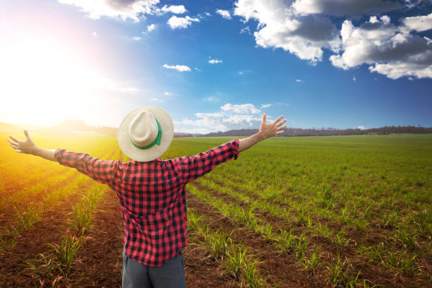istock Male Farmer with Hat at Harvest on Sunset. 1454995807