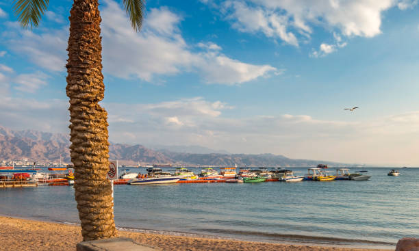 istock Sandy beach of the Red Sea in Eilat 1454996187