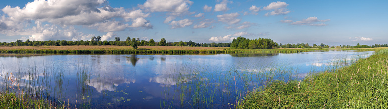 Summer rushy lake panorama view with clouds reflections, Ukraine.