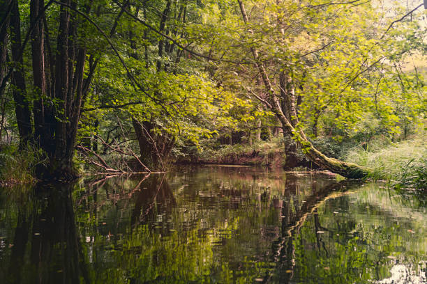 istock idyllic landscape seen from the river 1454998376