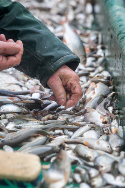 istock pond fishing 1454998571
