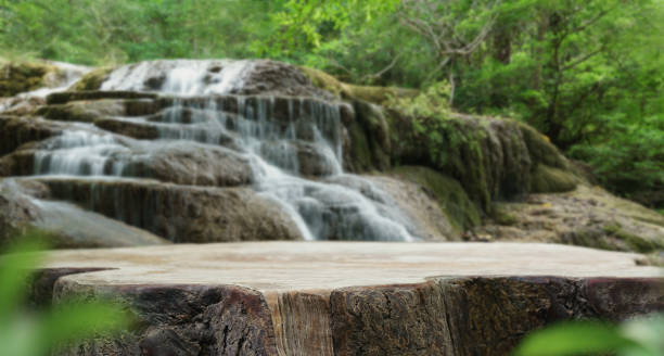 istock waterfall with empty toptable old wood podium outdoors in tropical forest greenery blurred background.organic healthy natural product present placement pedestal counter display,nature jungle concept. 1454998697