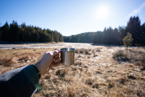 Tourist camping in pine woodland, waking up with cup of coffee on a sunny day.