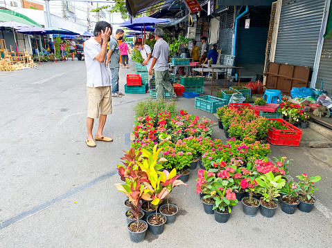 Bangkok Thailand - 3 Jan 2023: Many plant shop for sale at Chatuchak weekend market