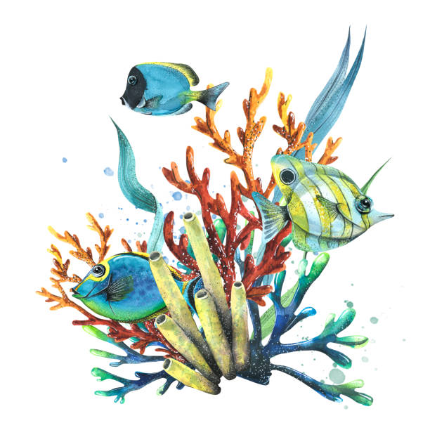 istock Sea sponges, corals, algae and tropical, bright fish. Watercolor illustration. Composition from the collection of TROPICAL FISH. For decoration and design of summer and beach prints, decor. 1455004350