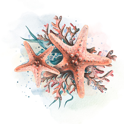 Starfish with corals and algae on the background of watercolor spots and splashes. Watercolor illustration. A composition from the SYMPHONY OF THE SEA collection. For decoration and design