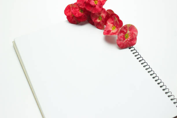 istock White blank notebook and a red Crown of Thorns flower (Euphorbia milii) background 1455007338