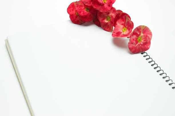 istock White blank notebook and a red Crown of Thorns flower (Euphorbia milii) background 1455007380