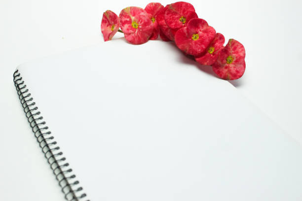 istock White blank notebook and a red Crown of Thorns flower (Euphorbia milii) background 1455007384